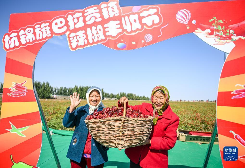 通宝网站是多少
